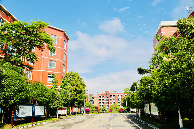 校园风景